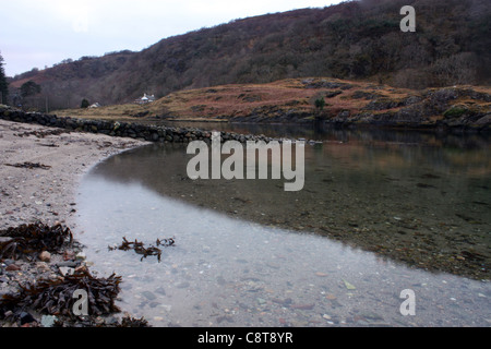 A calm loch shore with a forest in the distance Stock Photo