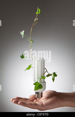 Light With Leafs And Human Hand Stock Photo