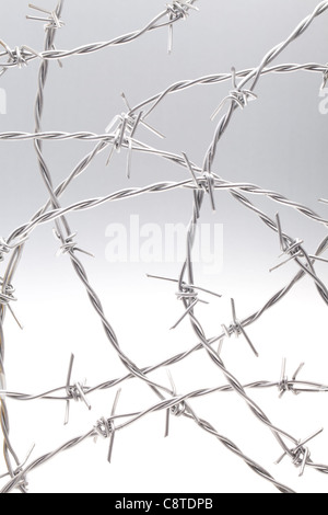 Close-up of barbed wire against white background Stock Photo