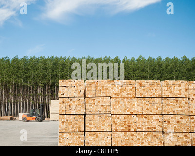 USA, Oregon, Boardman, Orderly stack of timber in tree farm Stock Photo