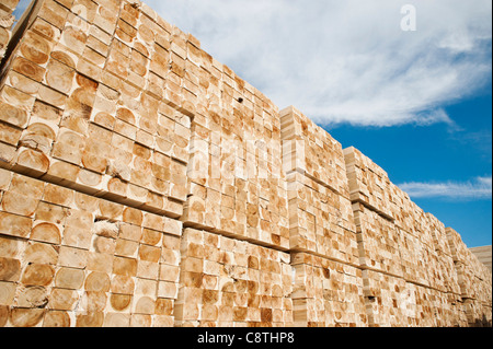 USA, Oregon, Boardman, Orderly stack of timber Stock Photo