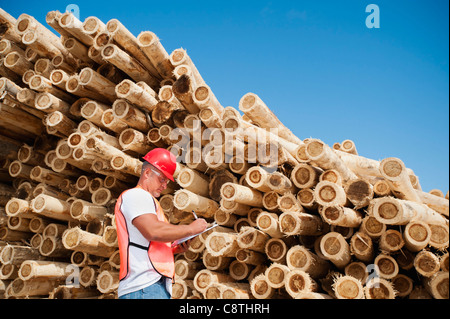 USA, Oregon, Boardman, Engineer in front of stack of timber Stock Photo
