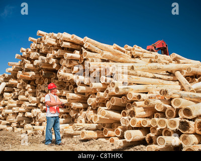USA, Oregon, Boardman, Engineer in front of stack of timber Stock Photo