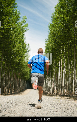 USA, Oregon, Boardman, Man running between rows of poplar trees in tree farm Stock Photo