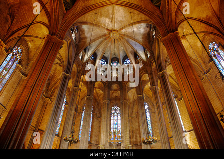 A view from below of the vaulted ceiling in the Cathedral of the Holy Cross and Saint Eulalia. Barcelona, Catalonia, Spain. Stock Photo