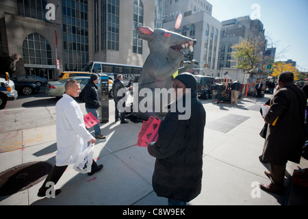 Giant rat balloon at a demonstration in front of the Hospital for Special Surgery in New York Stock Photo