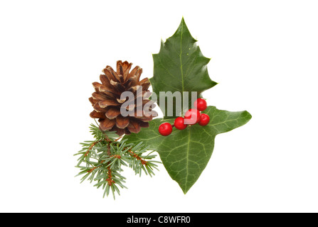 Christmas seasonal foliage, pine cone, needles, holly and ivy isolated against white Stock Photo