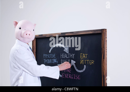 Pig Head Nutritionist Writing On Blackboard Stock Photo