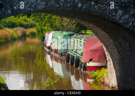 Narrowboats moored on Monmouthshire & Brecon Canal near Pencelli Brecon Brecon Beacons National Park Powys South Wales UK Stock Photo