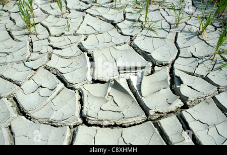 Parched & cracked soil dried out after waterlogging Stock Photo