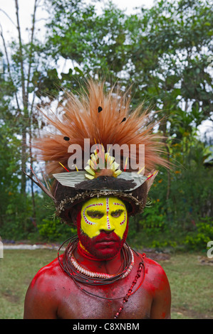 Huli Wigman adorned in Bird of Paradise head dress Tari Highlands Papua New Guinea Stock Photo