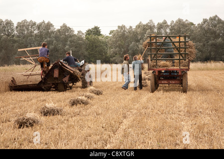 Antique farming methods being demonstrated. Stock Photo