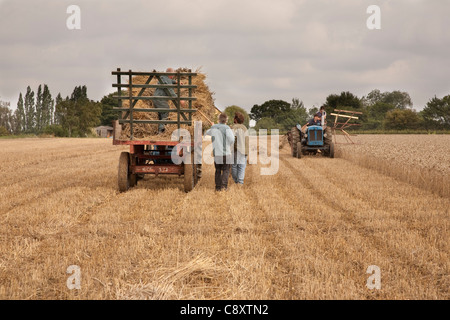 Harvesting wheat using antique farm machinery. Olden farming methods being demonstrated. Stock Photo