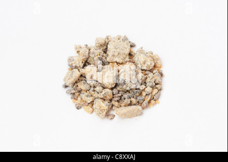 Loban on white background Stock Photo