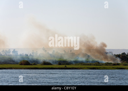 Section of Nile river bank with grassy bank and trees with a fire burning on the bank and smoke blowing right to left of shot Stock Photo