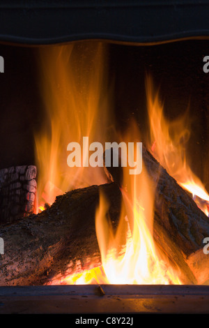 Burning log fire Stock Photo