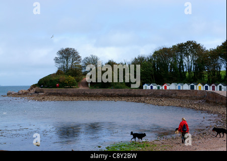 Dogs walking along the beach at Broadsands near Paignton, Devon, England. Stock Photo