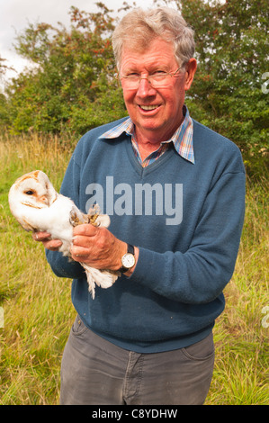 A BTO volunteer ( Colin Carter ) ringing a Barn Owl Tyto alba for the ringing scheme in Suffolk , England , Britain , Uk Stock Photo