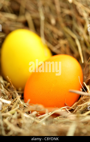 Nest with two easter eggs close up Stock Photo