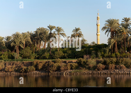 A section of Nile river bank with a strip of water in front, shrub bank, line of palms and a mosque minaret, Egypt Africa Stock Photo