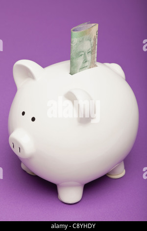 Studio shot of piggy bank with twenty dollar banknote Stock Photo