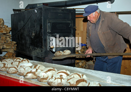Baker taking out freshly baked Valaisian rye breads from the baking oven of the village bakery in Erschmatt, Valais, Switzerland Stock Photo