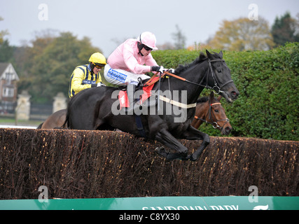 Roudoudou Ville ridden by Denis O'Regan jumps the last fence to win the Play Rainbow Riches @bluesq.com Handicap Chase  at Sandown Park Racecourse, Esher, Surrey - 05/11/2011 - Stock Photo