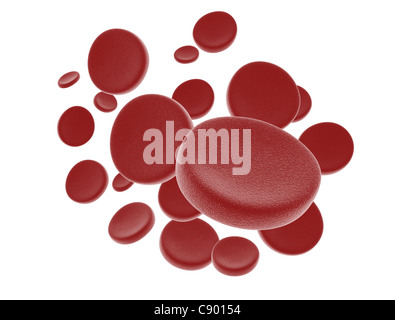 Blood cells isolated on white background Stock Photo