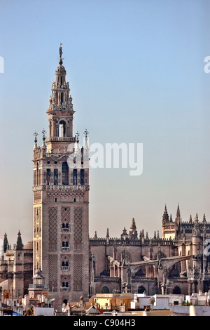 The Giralda tower as seen from the top of Metropol Parasol, Seville, Spain Stock Photo