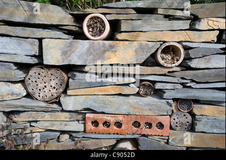 Insect hotel in a wall in The Centre for Alternative Technology, Llwyngern Quarry, Pantperthog, Machynlleth, Powys, Wales Stock Photo