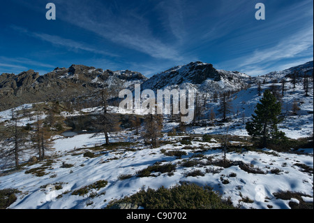 Italy, Aosta valley, mount Avic regional park, mountain landscape with larches Stock Photo