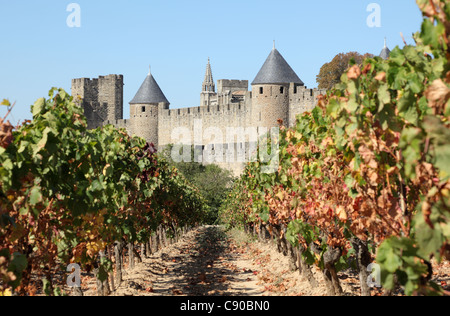 View of the old town Carcassonne from the vineyard. Southern France Stock Photo