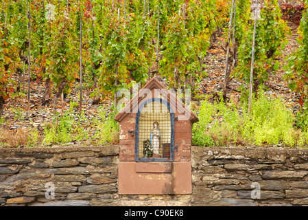 Holy Mary at vineyard at Mayschoss, Ahr valley, Ahr, Eifel, Rhineland-Palatinate, Germany, Europe Stock Photo