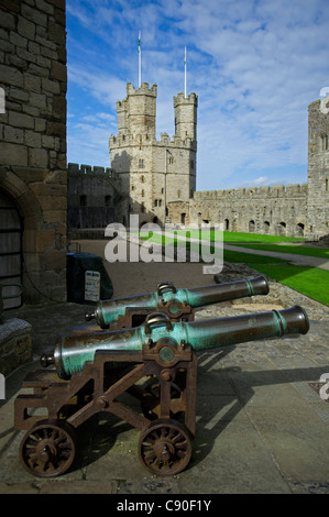 Cannons in the courtyard of Caernarfon Castle, Caernarfon, Wales, UK Stock Photo
