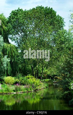 Amiens hortillonages boat trips France Stock Photo