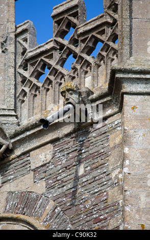 Gargoyle on St James Church Westerleigh Stock Photo