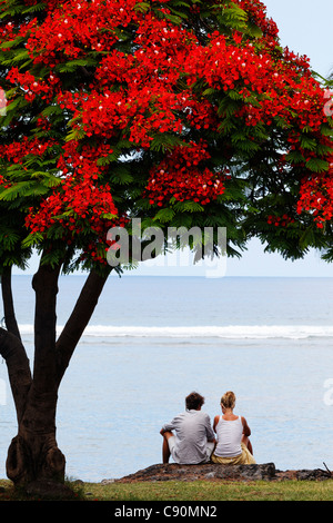 A couple sitting under a Flamboyant tree in Saint Leu, La Reunion, Indian Ocean Stock Photo