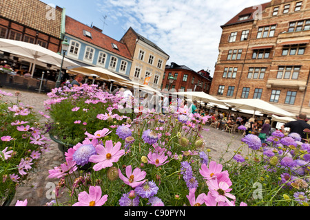 Flowers on Lilla Torg Square, Malmo, Sweden Stock Photo