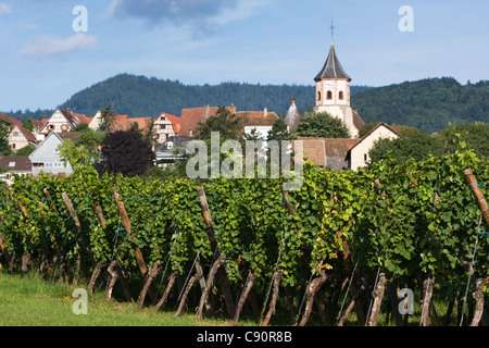Grapevines & villages along the Route de vin France Stock Photo