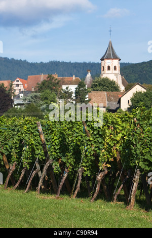 Grapevines & villages along the Route de vin France Stock Photo