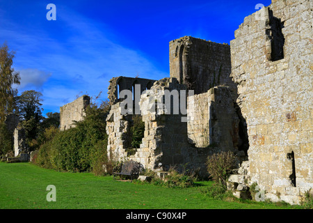 Jervaulx Abbey ruins in the Yorkshire Dales. Stock Photo