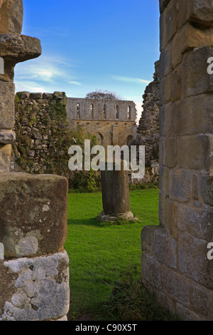 Jervaulx Abbey ruins in the Yorkshire Dales. Stock Photo