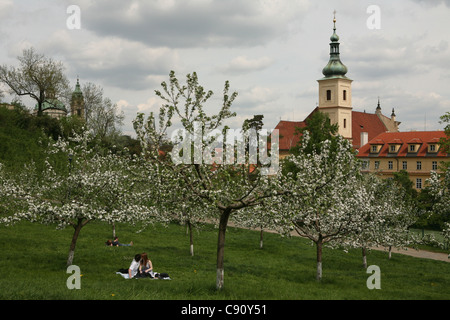 Young couples kissing under blossom trees on May 1st in the Petrin Hill Gardens in Prague, Czech Republic. Stock Photo