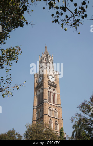 The Rajabai Tower is a clock tower in South Mumbai in Fort campus of the University of Mumbai. The tower stands at a height of Stock Photo