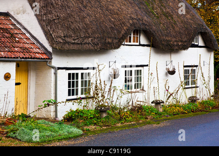A typical English thatched country cottage in the Wiltshire village of Clyffe Pypard, England, UK Stock Photo