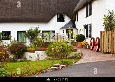 A pretty traditional thatched English country village cottage with whitewashed walls and thatch roof. Stock Photo