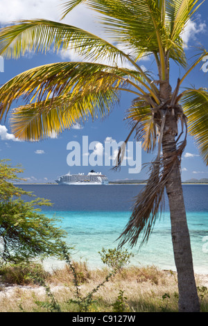 The Netherlands, Bonaire Island, Dutch Caribbean, Kralendijk, Cruise ship leaving island, palmtree. Stock Photo