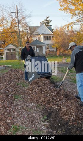 Volunteers spread fallen leaves on community garden Stock Photo