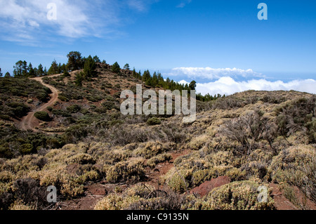 Tenerife is the most visited of the Canary Islands. One of the main attractions is Teide National Park. The park is dominated Stock Photo