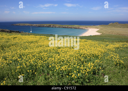 Yell is the second largest of the Shetland Islands after the mainland. It is an area of outstanding natural beauty with a